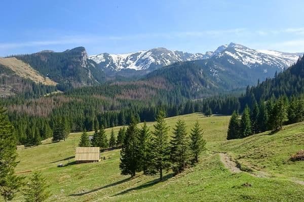 Niekompetencja urzędnicza w Polsce — jak skutecznie reagować